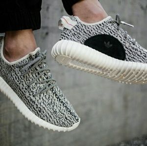 Yeezys Boost 350 Turtle Dove